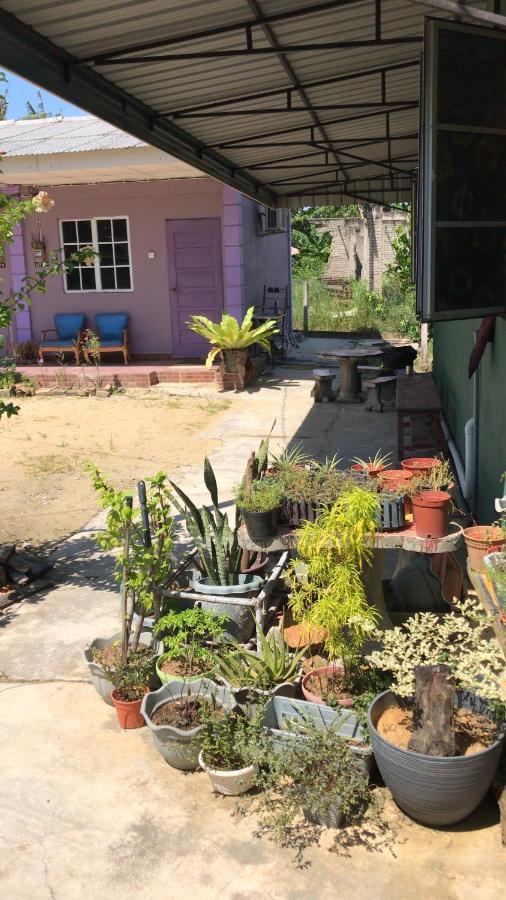Homestay D Sofia كُوالا تيرينغانو المظهر الخارجي الصورة